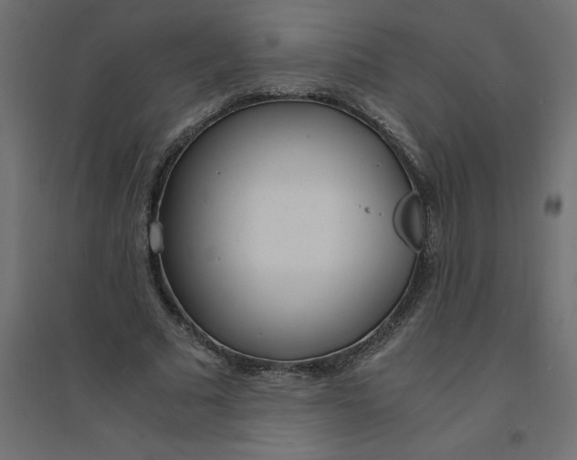 X0000094360681200711241938