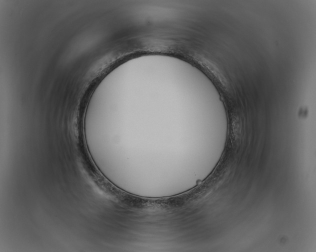 X0000094360682200711241938