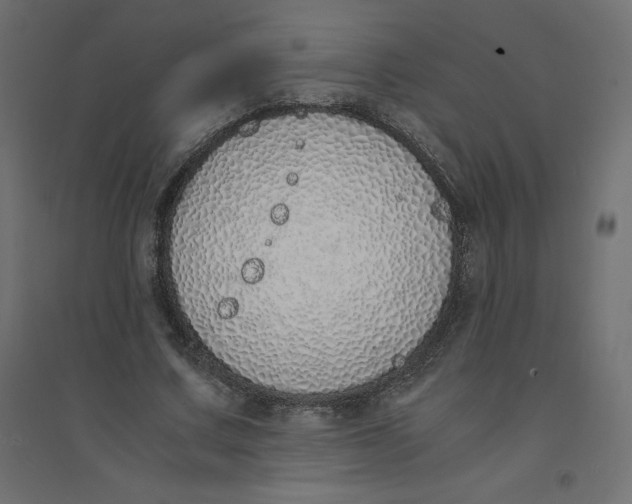 X0000094360683200711241938