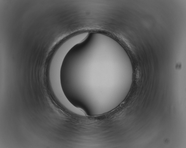 X0000094360684200711241937