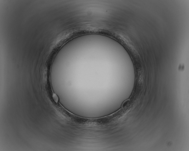 X0000094360685200711241937