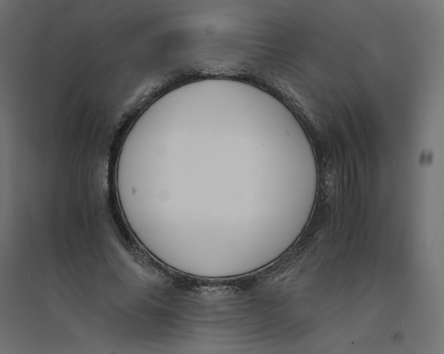 X0000094360686200711241937