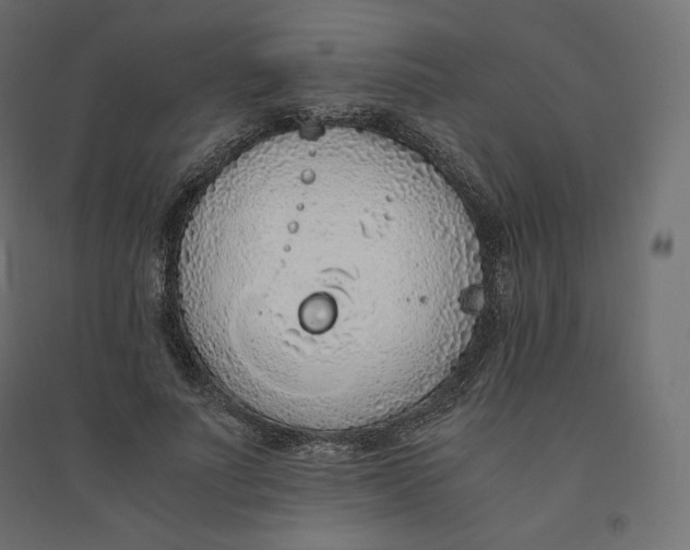 X0000094360691200711241937