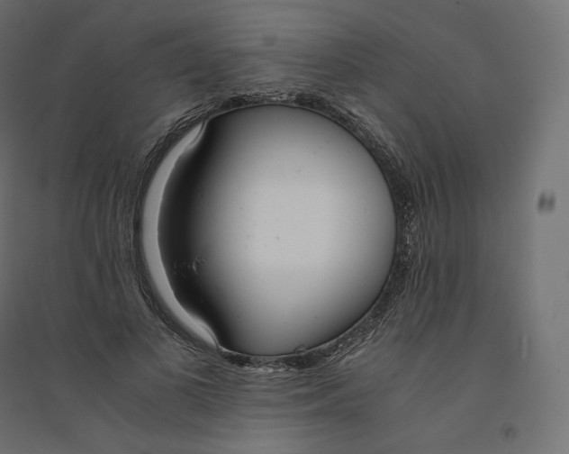 X0000094360693200711241937