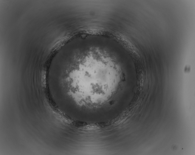 X0000094360696200711241937