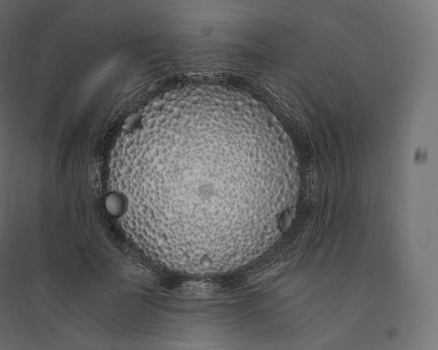 X0000094360699200711241937