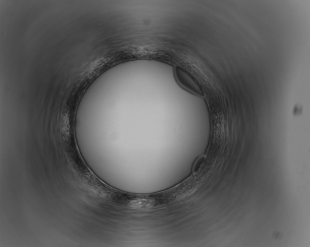 X0000094360700200711241937