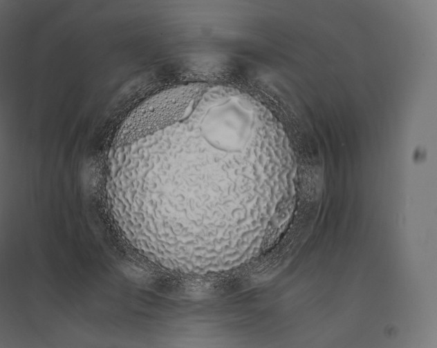 X0000094360701200711241937