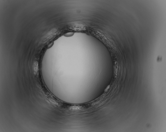 X0000094360704200711241937