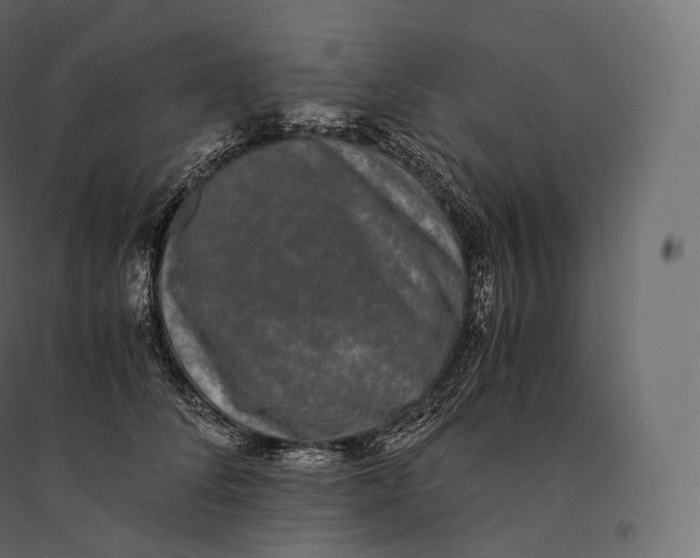 X0000094360708200711241937