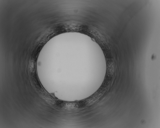 X0000094360709200711241937