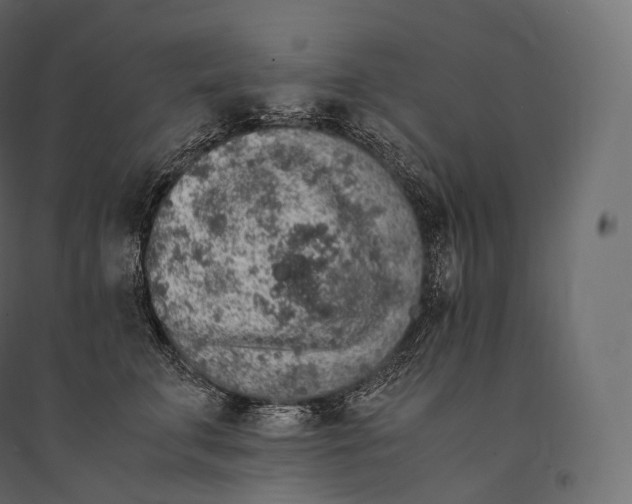 X0000094360711200711241937