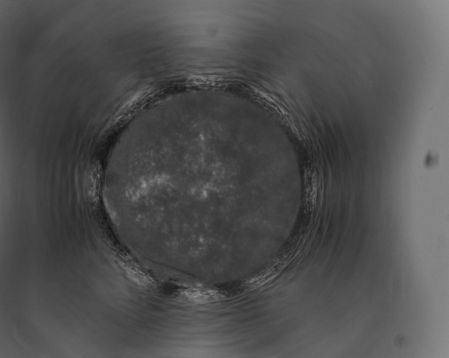 X0000094360712200711241937