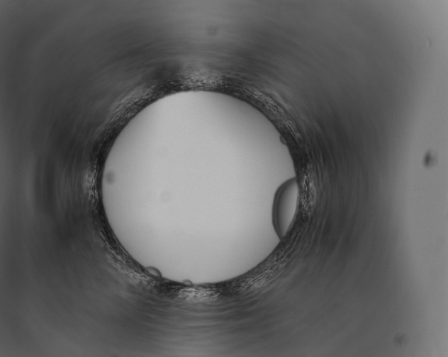 X0000094360714200711241937