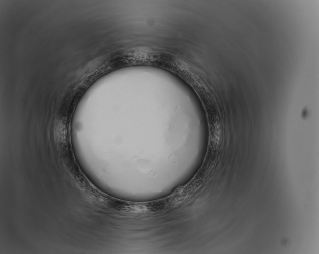 X0000094360715200711241937