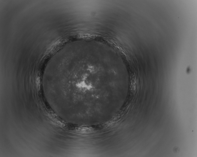 X0000094360716200711241937