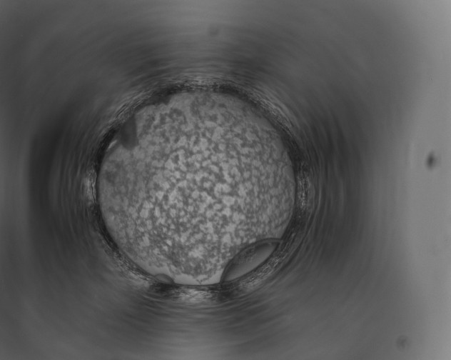 X0000094360718200711241937