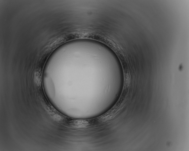 X0000094360719200711241937