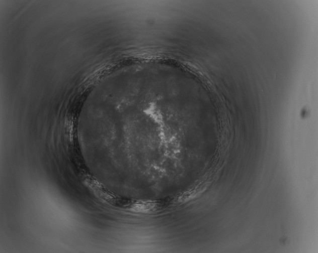 X0000094360720200711241937