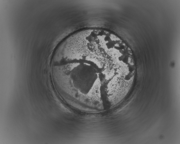 X0000094360721200711241936