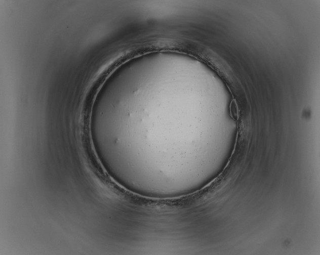 X0000094360722200711241936