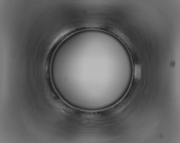 X0000094360723200711241936