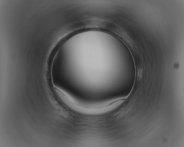 X0000094360724200711241936