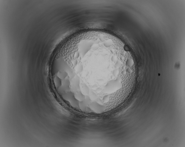 X0000094360725200711241936