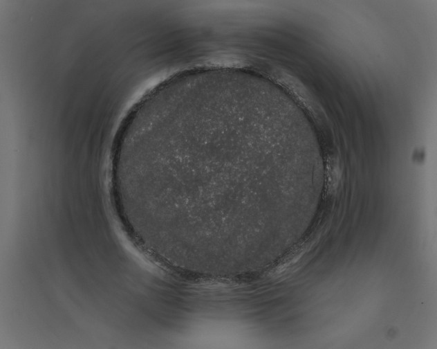 X0000094360726200711241936