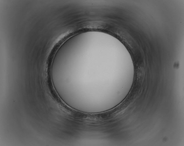 X0000094360727200711241936