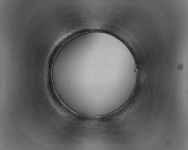 X0000094360728200711241936