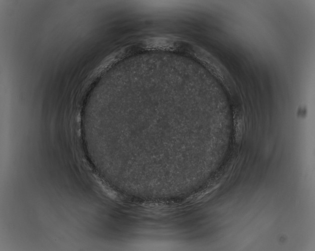 X0000094360729200711241936