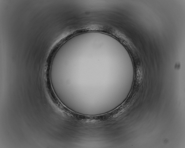 X0000094360730200711241936