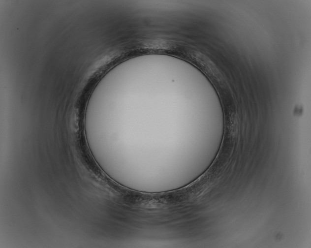 X0000094360731200711241936