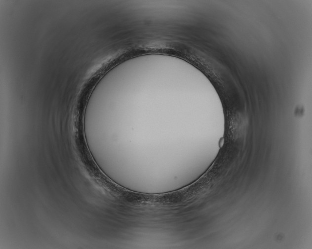 X0000094360732200711241936