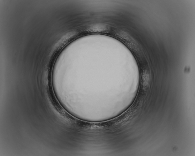 X0000094360734200711241937