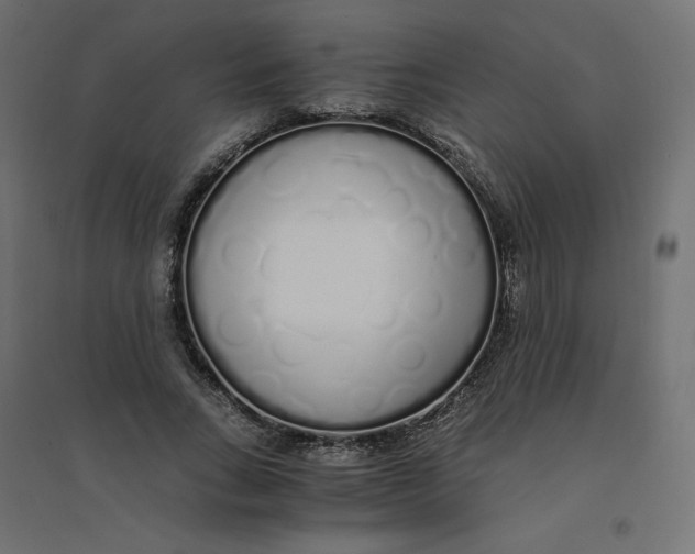 X0000094360735200711241937