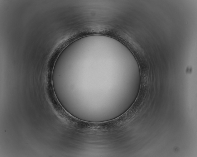 X0000094360736200711241937