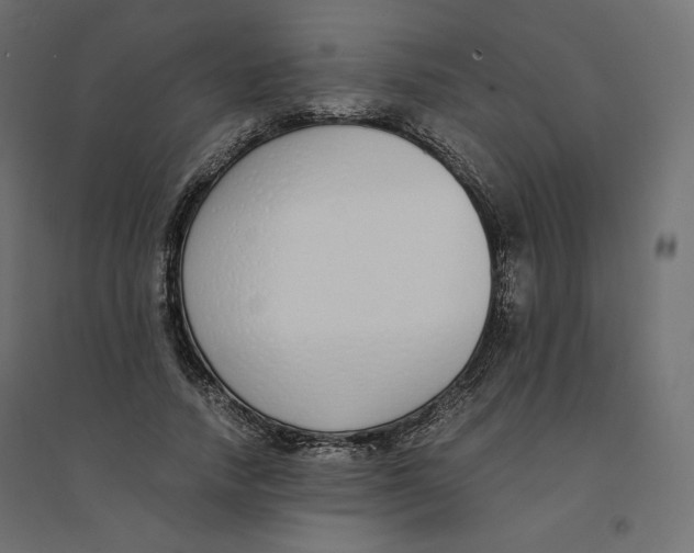 X0000094360738200711241937