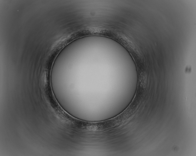 X0000094360740200711241937