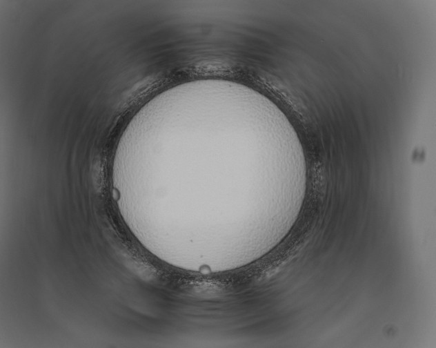 X0000094360741200711241937