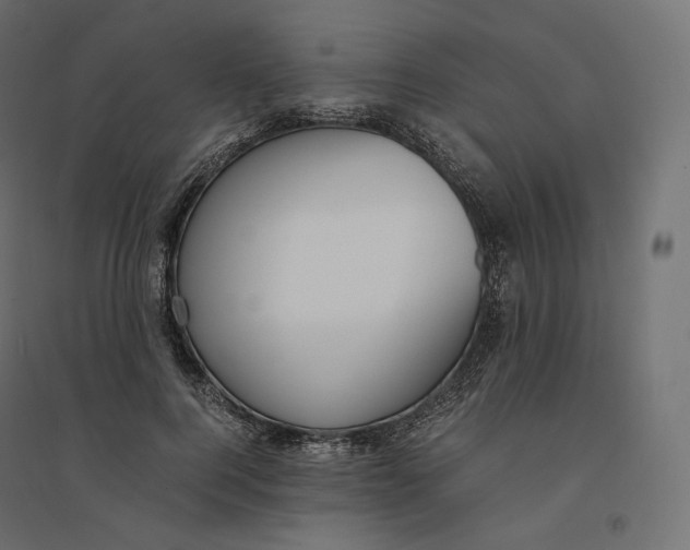 X0000094360744200711241937