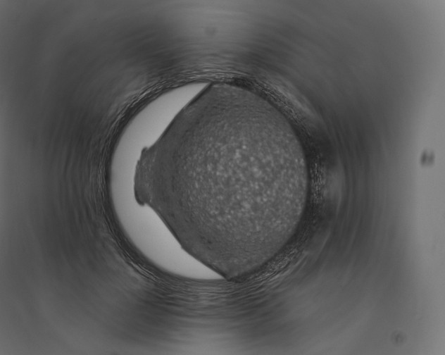 X0000094360748200711241937