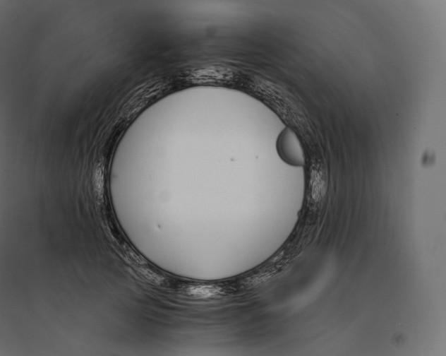 X0000094360753200711241937