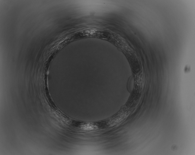 X0000094360754200711241937