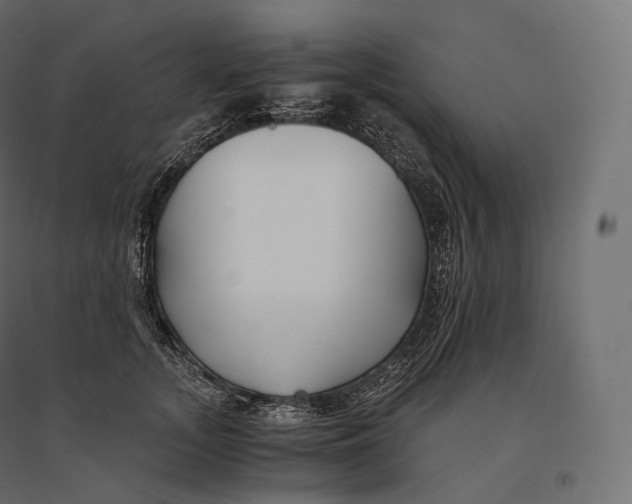 X0000094360755200711241937