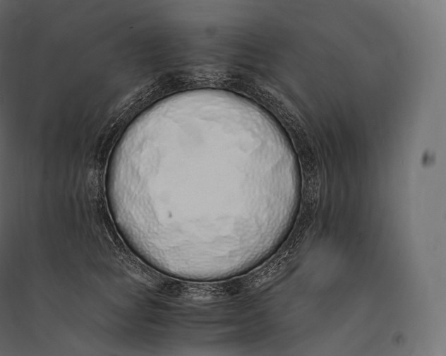 X0000094360757200711241937