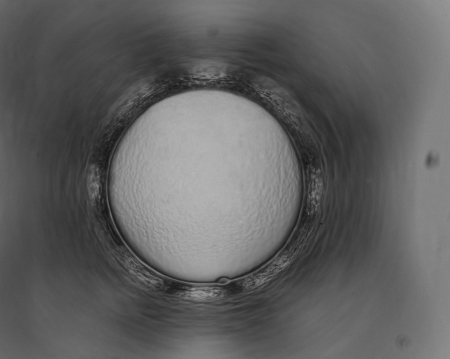 X0000094360758200711241937