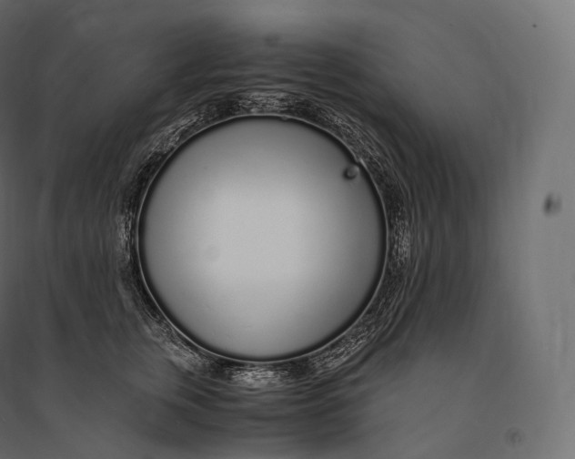 X0000094360759200711241937