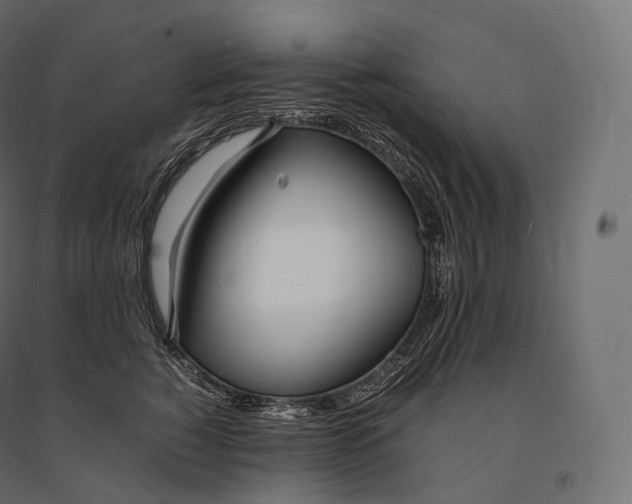 X0000094360760200711241937